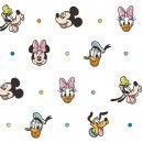 Mickey & Minnie Col. 104 - Due June/July